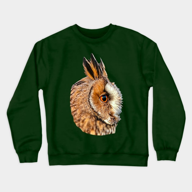 Long Eared Owl Crewneck Sweatshirt by dalyndigaital2@gmail.com